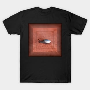 Macro Photograph of Snail on Terracotta Digital Art T-Shirt